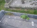 image of grave number 431950